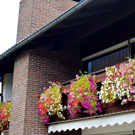 Apartment Hirblinger-mountainview *