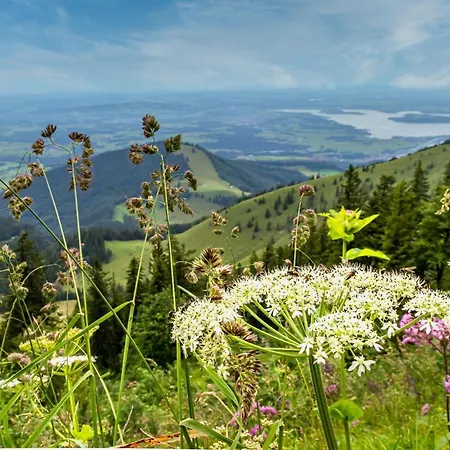Hirblinger-mountainview Appartamento Bernau am Chiemsee